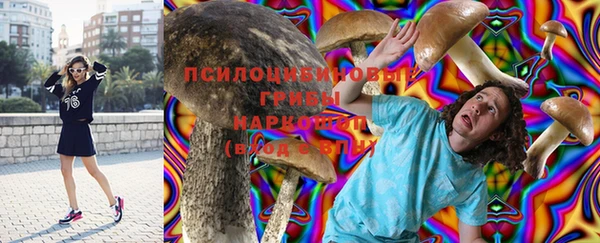 бошки Кукмор
