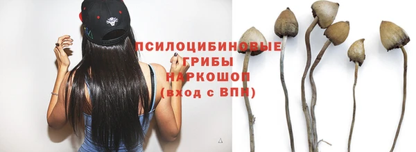 МДПВ Кулебаки