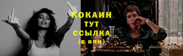 винт Куйбышев