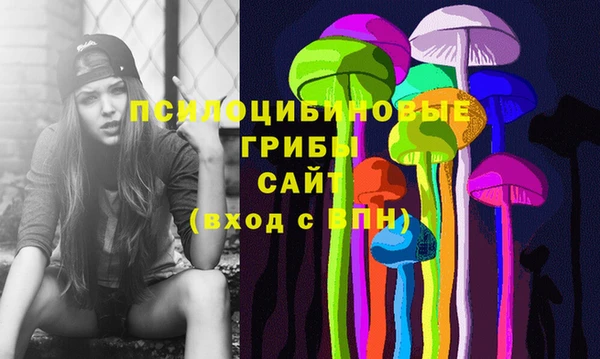 винт Куйбышев