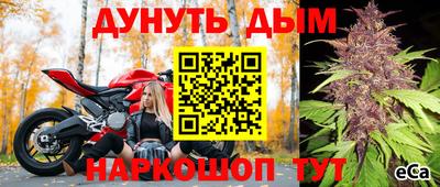 гашик Аргун