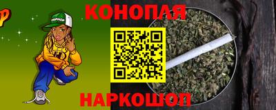 прущие грибы Канаш