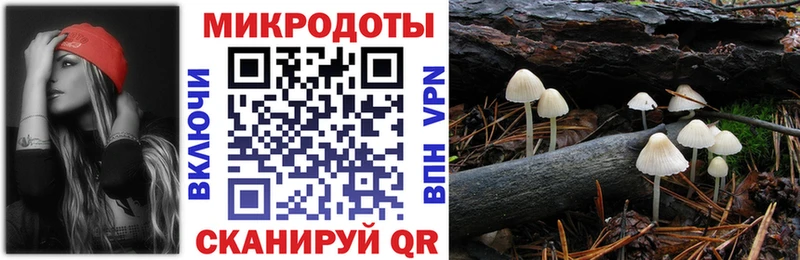 blacksprut Тайшет Псилоцибиновые грибы MAGIC MUSHROOMS