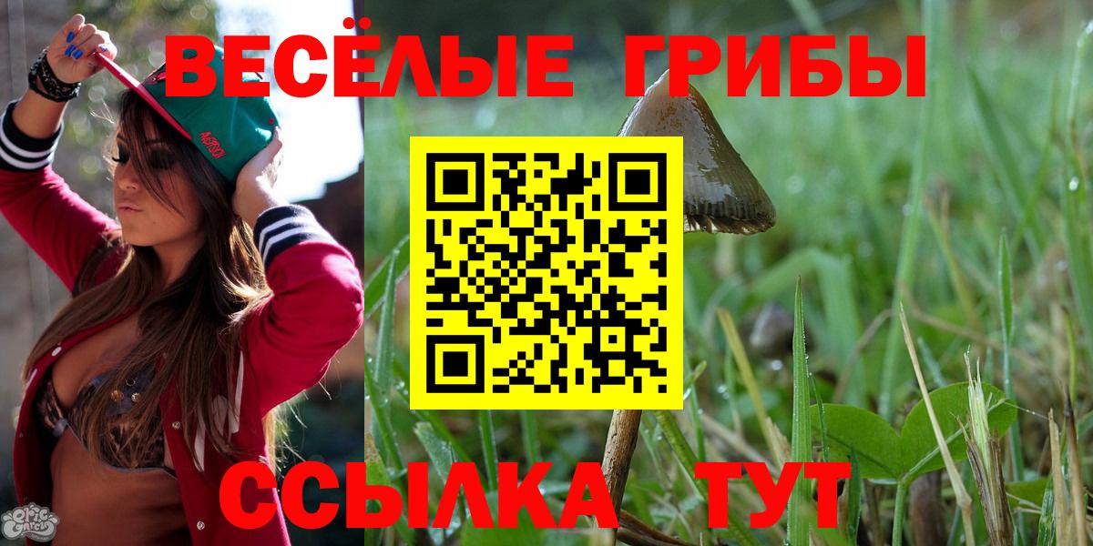 Галлюциногенные грибы Cubensis  Вход с VPN  Тайшет 