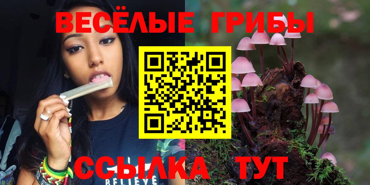 МДМА Тайшет