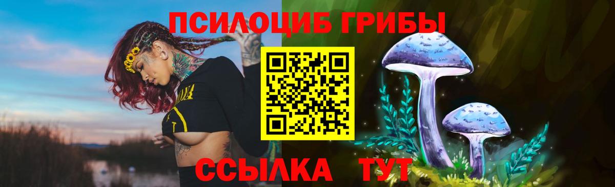 Галлюциногенные грибы Psilocybe  Тайшет  Галлюциногенные грибы Magic Shrooms 
